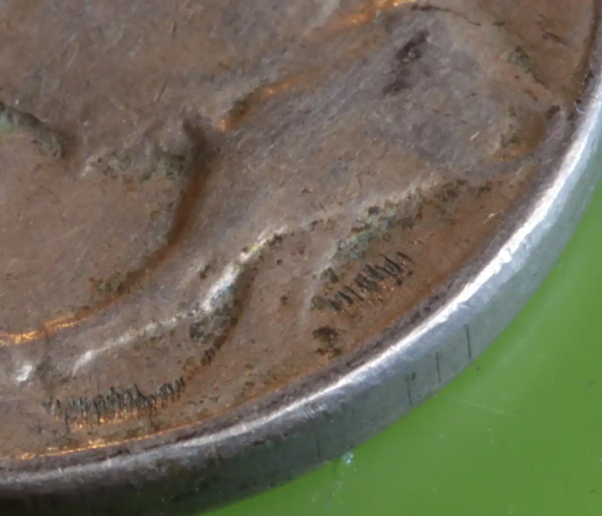1920-S-Bison-Nickel---Weak-Strike-Or-Worn-Die?